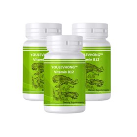 high quality vitamin b12 dietary supplement youlevhong supplier manufacturer